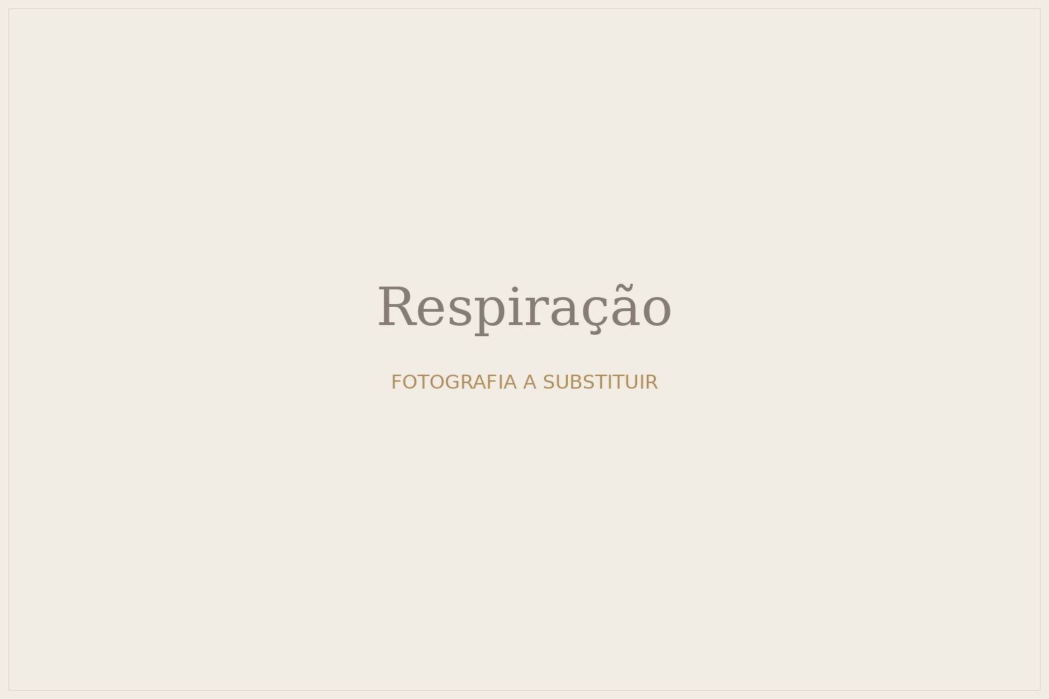 Campos ao Vento