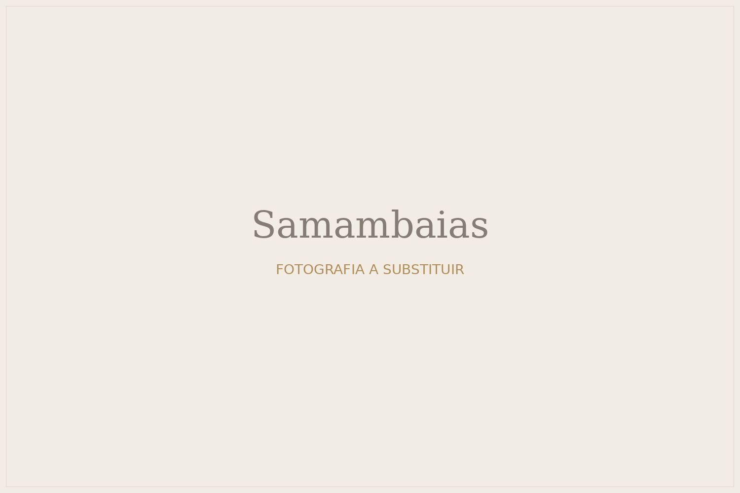Samambaias